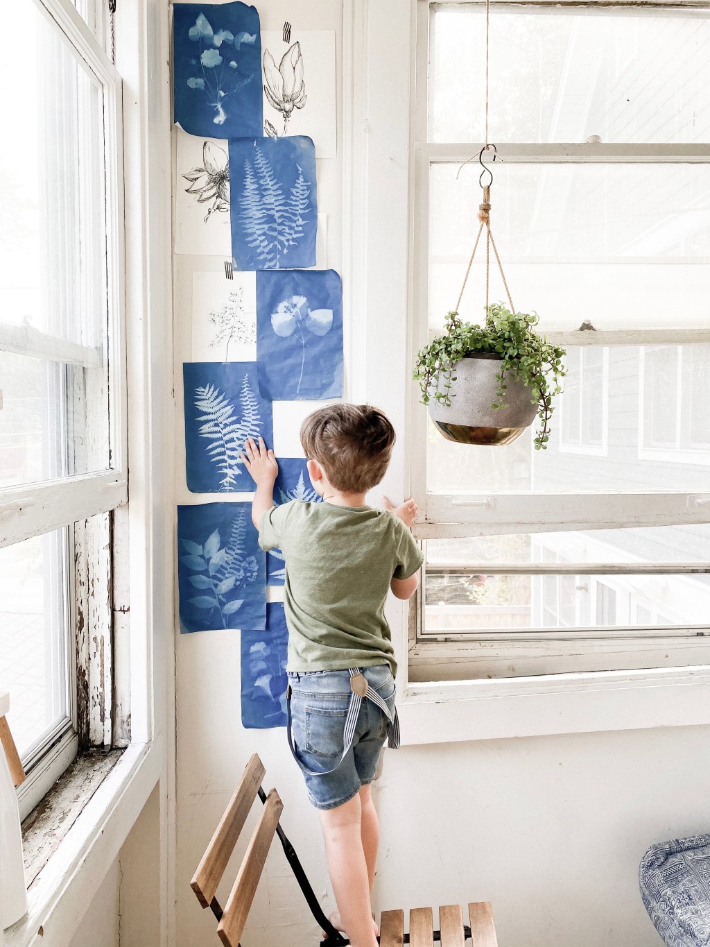 How to Make Sun&nbsp;Prints